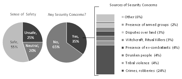  Safety and Security Concerns